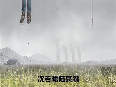 经典小说推荐沈若曦陆宴森，陆宴森沈若曦全文免费阅读