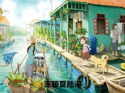 （陆湛宋暖夏）免费小说 宋暖夏陆湛全文精彩章节阅读