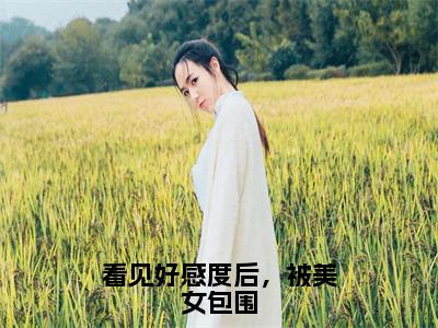 看见好感度后，被美女包围抖音热推小说-江浔全文推荐阅读