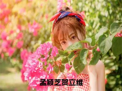 孟颖芝贺立维小说 贺立维孟颖芝无广告免费阅读