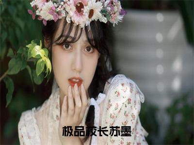 极品校长苏墨多人推荐小说 苏墨完整版