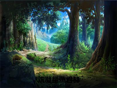 沈凝星萧君赫抖音小说 萧君赫沈凝星全文免费大结局