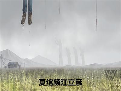 经典小说推荐夏绾颜江立彦-江立彦夏绾颜全文阅读（完整版）