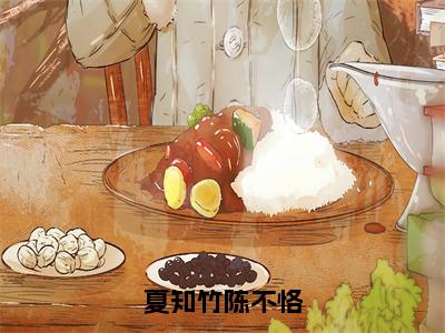 夏知竹陈不恪全集阅读 无弹窗小说陈不恪夏知竹免费