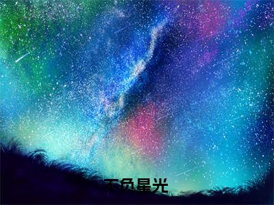 不负星光 免费阅读无弹窗-小说不负星光 大结局全文