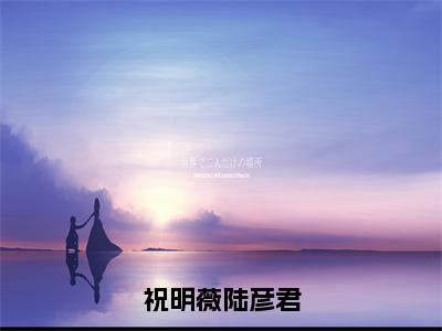 小说祝明薇陆彦君全文无删减版-陆彦君祝明薇大结局