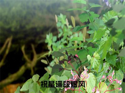 段煜风祝星遥长篇免费小说-抖音新书热荐祝星遥段煜风