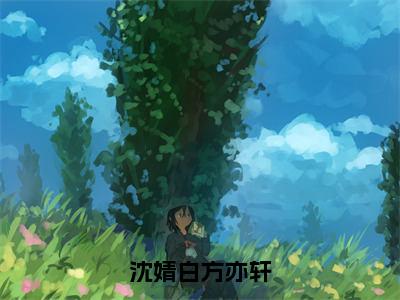 沈婧白方亦轩美文欣赏完整版-方亦轩沈婧白小说无弹窗