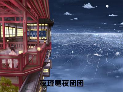 夜团团夜瑾寒精选热门小说 夜瑾寒夜团团免费阅读