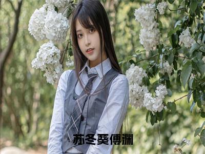 傅渊苏冬葵抖音强推小说 苏冬葵傅渊全文阅读（完整版）