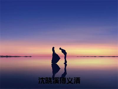 傅义清沈晓溪全文阅读（完整版），沈晓溪傅义清大结局免费试读