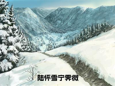 （宁霁微陆怀雪）小说多人阅读 陆怀雪宁霁微免费看