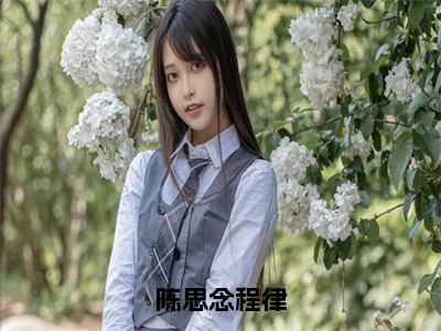 陈思念程律作者是程律陈思念的小说完整版