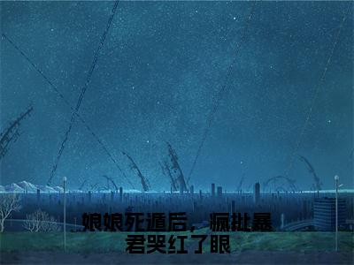 精选小说娘娘死遁后，疯批暴君哭红了眼全文完整版-叶晚棠谢韫臣完整版在线赏析