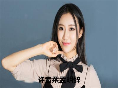 许音柔孟明辞精彩美文免费阅读-好看言情小说孟明辞许音柔