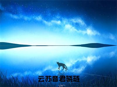 小说云苏音君骁琏最新章节免费阅读，甜宠文君骁琏云苏音