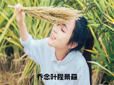 乔念叶程景森精彩试读-程景森乔念叶全文阅读