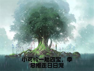 小可怜一胎四宝，季总抱走日日宠主角是什么 （盛朝朝季宴礼）全文