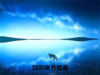 段辰夜齐雪青精彩章节 齐雪青段辰夜全文免费阅读无弹窗