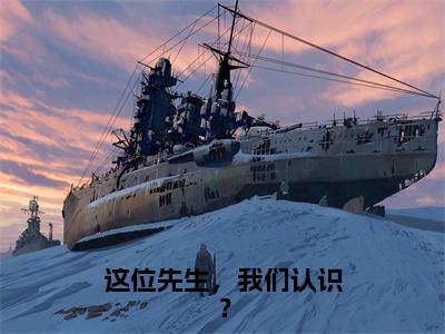 抖音新书热荐这位先生，我们认识？，许星辰卫景曜全本免费阅读