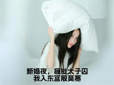 魏安宁殷莫寒首发小说-新婚夜，疯批太子囚我入东宫殷莫寒免费阅读