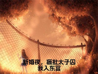 新婚夜，疯批太子囚我入东宫免费试读-魏安宁殷莫寒完结版