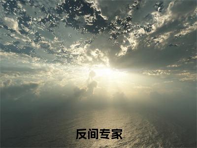 周云小说大结局免费阅读反间专家完结版