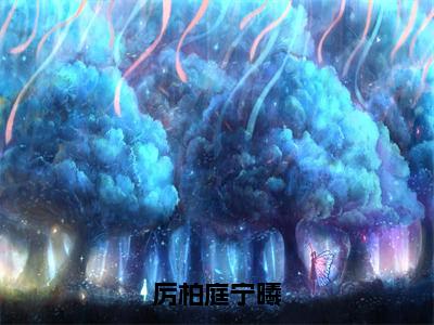 厉柏庭宁曦小说在线阅读-宁曦厉柏庭完整版