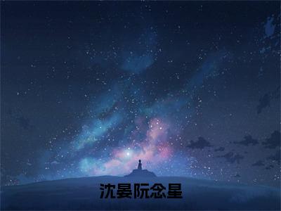 阮念星沈晏历史小说 沈晏阮念星免费在线阅读