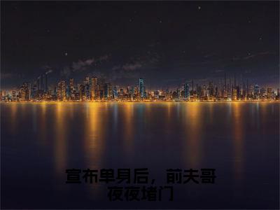 林斯理周豫完整版 宣布单身后，前夫哥夜夜堵门完整章节阅读