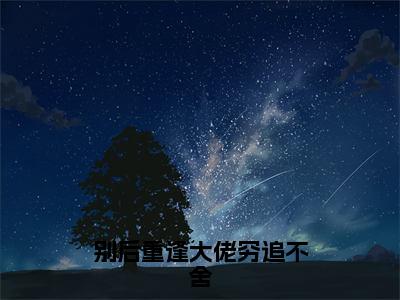 别后重逢大佬穷追不舍小说免费阅读 秦如烟陆景琛全文