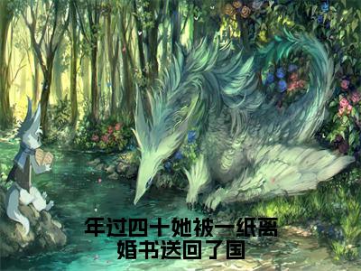 年过四十她被一纸离婚书送回了国(徐念宁孟景州)全文免费阅读大结局_年过四十她被一纸离婚书送回了国（徐念宁孟景州在线小说免费阅读）全文阅读大结局