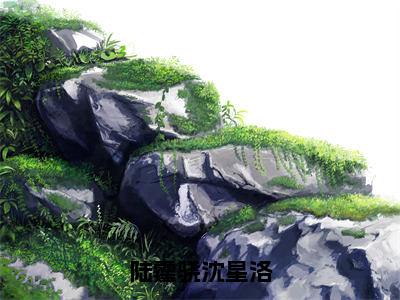 陆霆骁沈星洛（沈星洛陆霆骁全章节完整版）免费阅读_（沈星洛陆霆骁）陆霆骁沈星洛全文无删减免费阅读