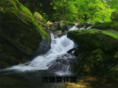 沈确宴许棠全文小说（许棠沈确宴）-完结版热文许棠沈确宴（沈确宴许棠）小说免费阅读