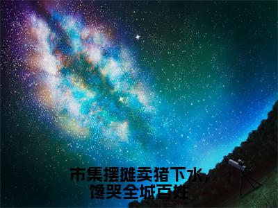 市集摆摊卖猪下水，馋哭全城百姓（闻真一沈寒星小说）全文免费阅读无弹窗大结局_市集摆摊卖猪下水，馋哭全城百姓小说闻真一沈寒星列表