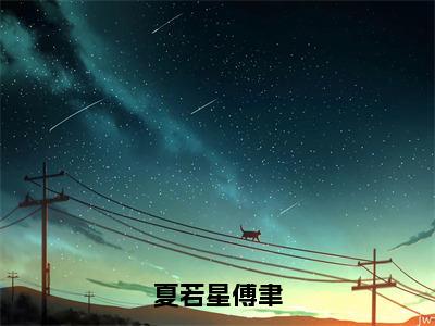 傅聿夏若星无弹窗（夏若星傅聿）全文免费阅读无弹窗大结局_（傅聿夏若星无弹窗）夏若星傅聿无弹窗最新章节列表