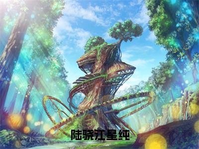 陆骁江星纯(陆骁江星纯)全文免费阅读大结局_陆骁江星纯免费在线阅读无删减