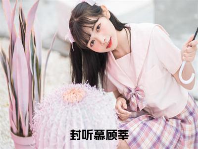 封听慕顾莘全文免费阅读（封听慕顾莘免费阅读无弹窗）封听慕顾莘最新章节列表_笔趣阁