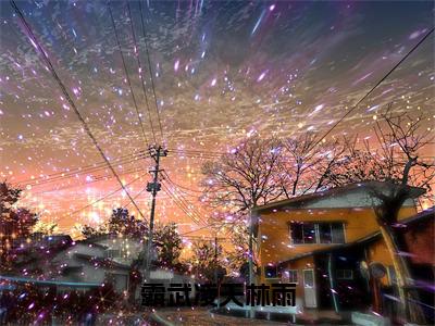 霸武凌天林雨《林雨小说免费阅读》完整-霸武凌天林雨小说（林雨）全文最新阅读