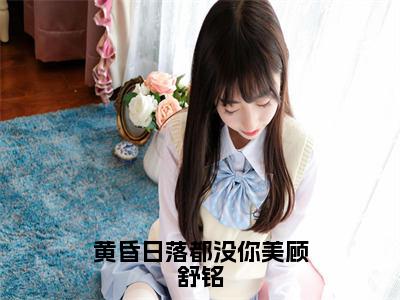 夏洛洛顾舒铭小说免费阅读黄昏日落都没你美顾舒铭全文无弹窗试读