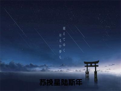 苏挽星陆斯年小说（苏挽星陆斯年）全文免费阅读无弹窗_苏挽星陆斯年高赞小说免费阅读笔趣阁（苏挽星陆斯年）