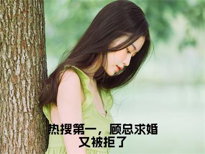 热搜第一，顾总求婚又被拒了小说（苏婉婉）热推新书_热搜第一，顾总求婚又被拒了最新章节在线阅读_笔趣阁