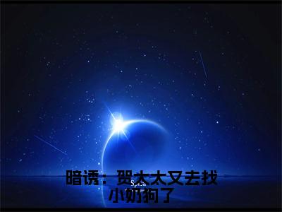 暗诱：贺太太又去找小奶狗了全集免费阅读无弹窗_温欲晚贺庭舟完结小说榜单阅读（温欲晚贺庭舟小说）