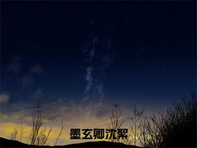 墨玄卿沈絮（沈絮墨玄卿）免费阅读无弹窗大结局_墨玄卿沈絮小说（沈絮墨玄卿）免费阅读最新章节列表