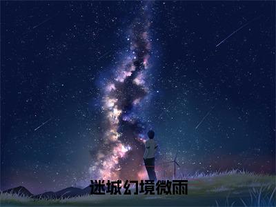 《微雨》全文免费阅读无弹窗大结局-迷城幻境微雨无弹窗阅读