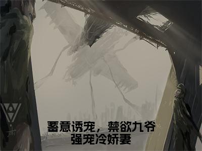 蓄意诱宠，禁欲九爷强宠冷娇妻（季寒琛许清韵）小说全文免费阅读_（季寒琛许清韵）小说全文无删减版在线阅读