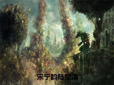 宋宁韵陆楚翊（陆楚翊宋宁韵）全文免费阅读_陆楚翊宋宁韵正版小说全文阅读