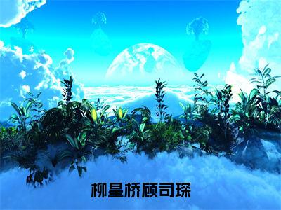 柳星桥顾司琛热推新书小说全文（柳星桥顾司琛）全文免费阅读_柳星桥顾司琛最新章节无弹窗阅读