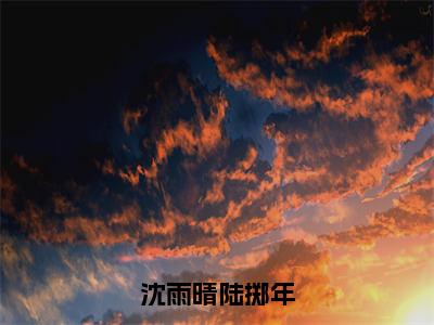 沈雨晴陆掷年小说（陆掷年沈雨晴）全文免费阅读无弹窗大结局_沈雨晴陆掷年最新章节在线阅读_笔趣阁