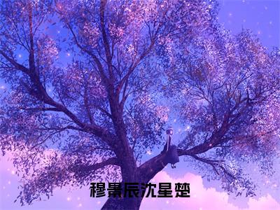 穆景辰沈星楚（穆景辰沈星楚）免费小说-穆景辰沈星楚（穆景辰沈星楚）全文精彩章节阅读-笔趣阁